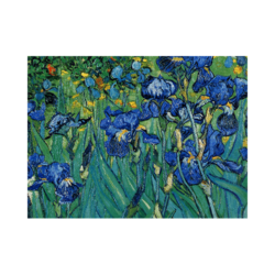 Van Gogh Süsenler Tuval