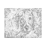 Renkli Köpek Çizilmiş Tuval