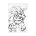 Renkli Zebra Çizilmiş Tuval