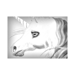 Gökkuşağı Boynuzlu At