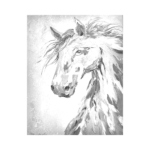 renkli-at-sb Renkli At - Görsel 1