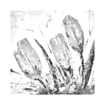 sarı-lale-sb Sarı Lale Çizilmiş Tuval - Görsel 1