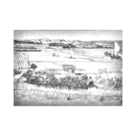 van-gogh-hasat-manzarası-sb Van Gogh Hasat Manzarası - Görsel 1