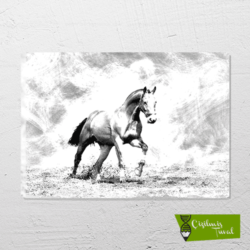 at çizilmiş resim tuvali