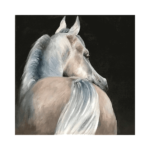 Beyaz At - Görsel 2