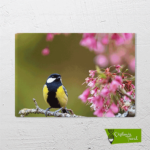 cicek-ve-kus-cizilmis-resim-tuvali Kuş ve Çiçek - Görsel 2