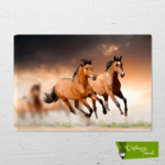 Koşan Çift At - Görsel 2