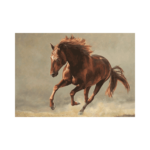 Koşan Kahve - Görsel 2