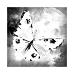 renkli-kelebek-cizilmis-boyamaya-hazir-resim-tuvali-sb Renkli Kelebek - Görsel 1