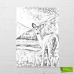 Ceylan Çizilmiş Tuval