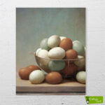 Yumurtalar - Görsel 2