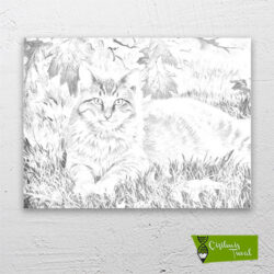 Çimlerdeki-kedi-cizilmis-tuval