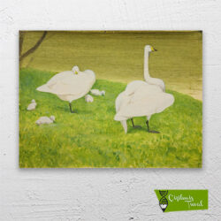 beyaz-kuğular-cizilmis-tuval-1