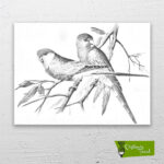 daldaki-kuşlar-cizilmis-tuval