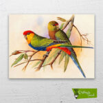 daldaki-kuşlar-cizilmis-tuval1