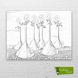 huni-tarlası-cizilmis-tuval