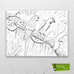 renkli-papağanlar-cizilmis-tuval