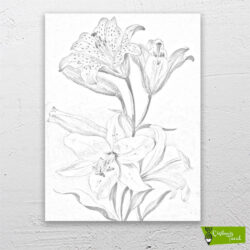 sarı-ve-beyaz-zambaklar-cizilmis-tuval