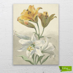 sarı-ve-beyaz-zambaklar-cizilmis-tuval1