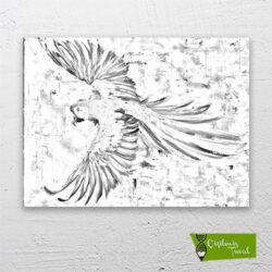 uçan-papağan-cizilmis-tuval