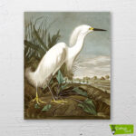 beyaz-balıkçıl-cizilmis-tuval