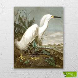 beyaz-balıkçıl-cizilmis-tuval