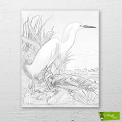 beyaz-balıkçıl-cizilmis-tuval