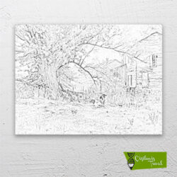 eski-değirmende-sabah-cizilmis-tuval