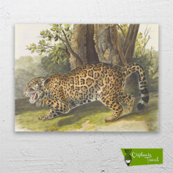 jaguar-cizilmis-tuval-1