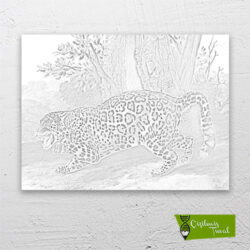 jaguar-cizilmis-tuval