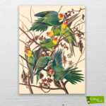 muhabbet-kuşları-cizilmis-tuval-1