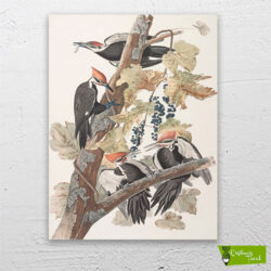 pileli-ağaçkakan-kuşları-cizilmis-tuval