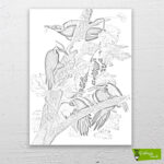 pileli-ağaçkakan-kuşları-cizilmis-tuval