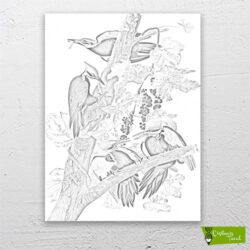 pileli-ağaçkakan-kuşları-cizilmis-tuval