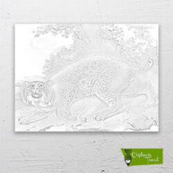 vahşi-kedi-vaşak-cizilmis-tuval