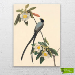 sinekkapan-kuşu-cizilmis-tuval-1