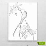 sinekkapan-kuşu-cizilmis-tuval